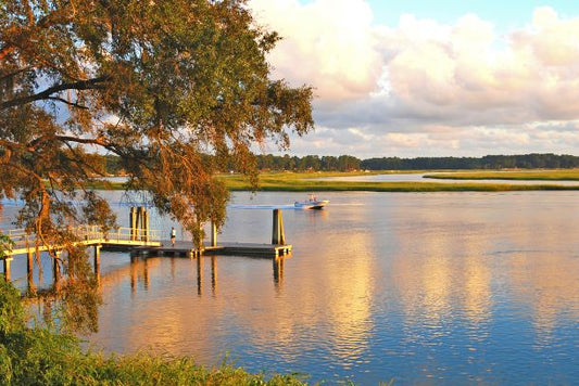 The Language of Lowcountry Color