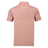 The Ascot