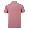 The Ascot